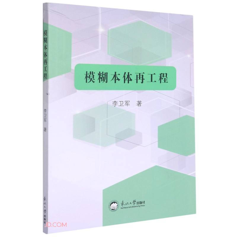 模糊本体再工程详情图