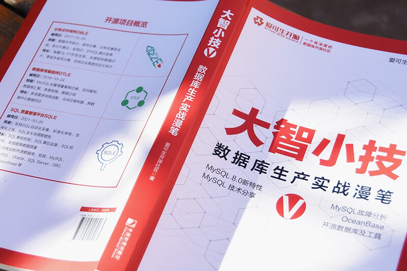 大智小技V：数据库生产实战漫笔详情图