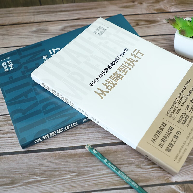 官方正版 从战略到执行 逄增钢汤晶淇著战略管理经管励志畅销书北京时代华文书局