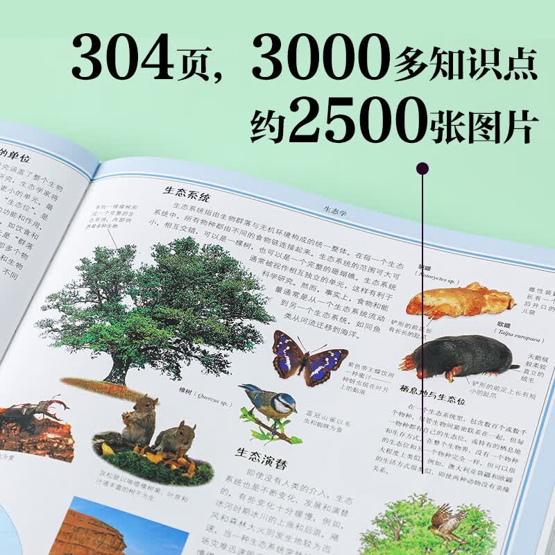DK儿童自然大百科详情图