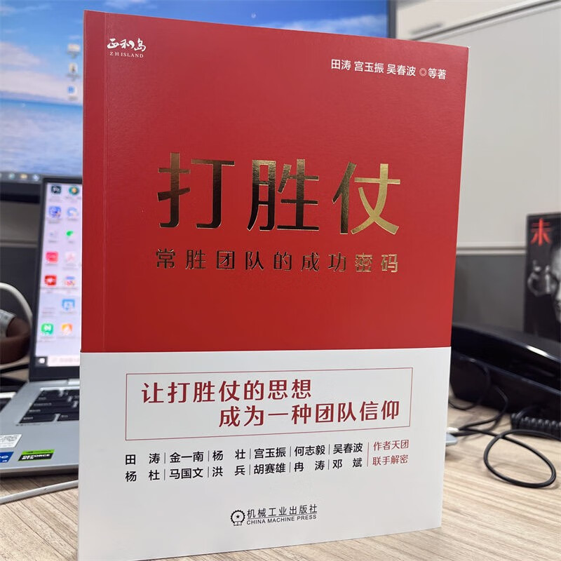 打胜仗:常胜团队的成功密码 平装版