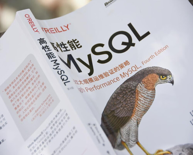 高性能MySQL（第4版）