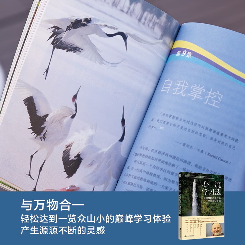 心流学习法：在深度自然游戏中，唤醒身心潜能    自然教育之父约瑟夫里程碑力作详情图