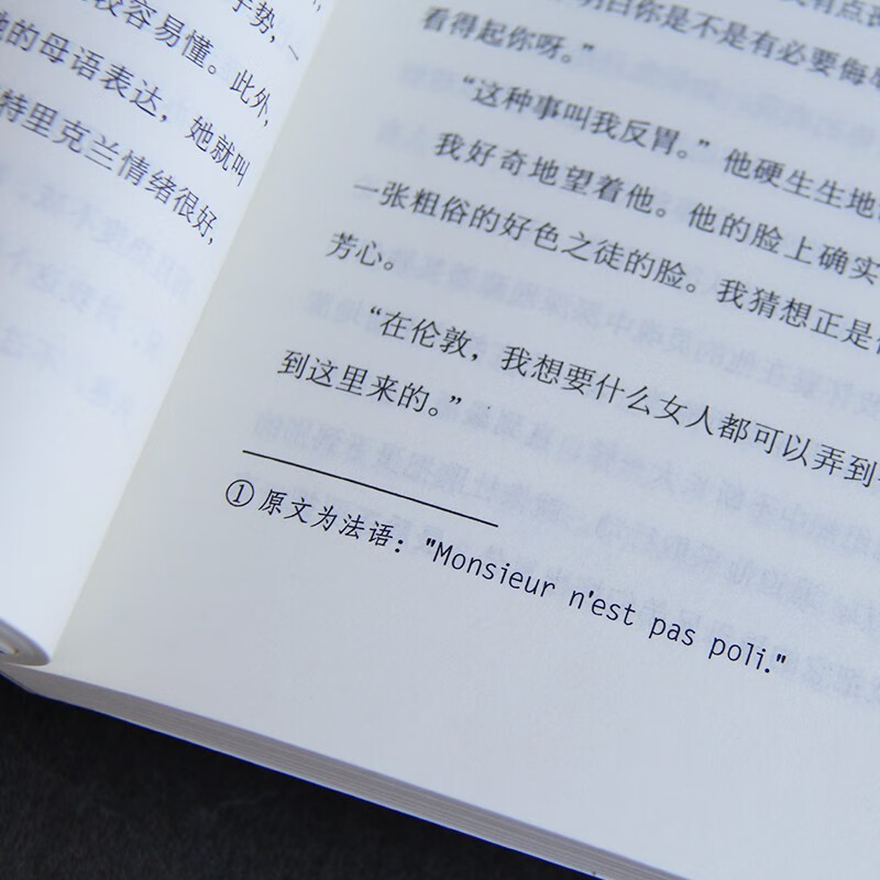 月亮与六便士 京东自营 正版（毛姆经典作品集，全译本+无删节详注版）月亮和六便士 小说