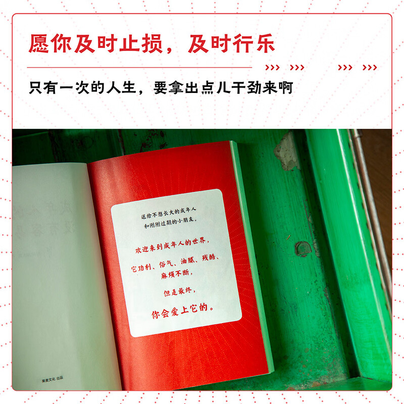 成年人的世界没有容易二字（百万畅销书作家老杨的猫头鹰新作，专治焦虑、拧巴、精神不振等疑难杂症）详情图