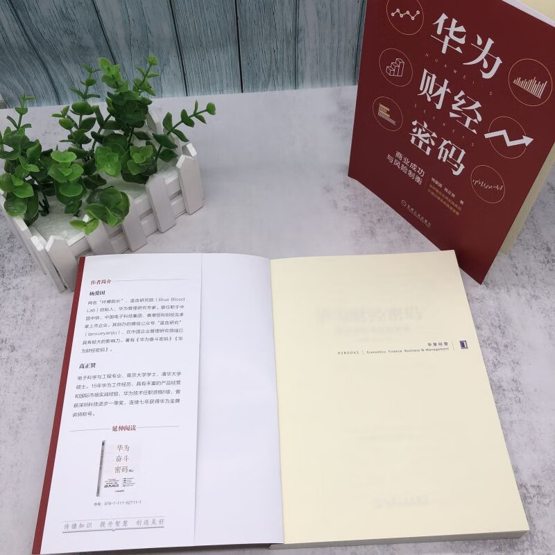 华为财经密码：商业成功与风险制衡