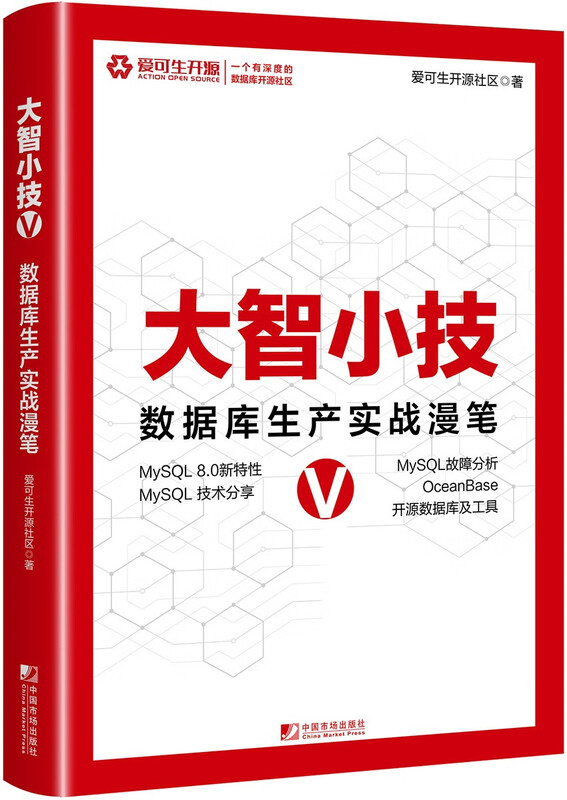 大智小技V：数据库生产实战漫笔详情图