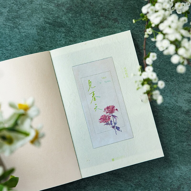 见春天【赠珠光明信片+回忆底片+贴纸+留言卡+信纸+海报】（新增番外《见答案》！晋江人气作者 纵虎嗅花 催泪之作！）青春文学爱情情感校园畅销...