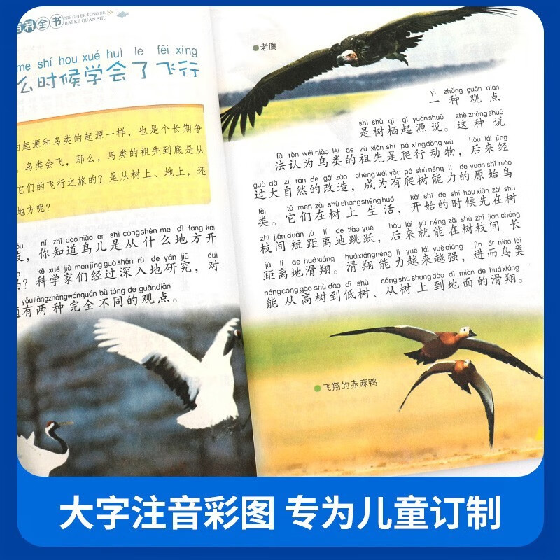【全6册】写给儿童百科全书：动物世界恐龙帝国昆虫奥秘鸟类王国海洋生物植物乐园 中国少年儿童科普类书籍详情图