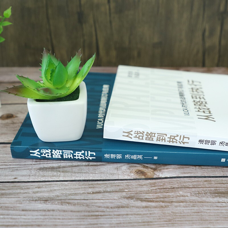 官方正版 从战略到执行 逄增钢汤晶淇著战略管理经管励志畅销书北京时代华文书局