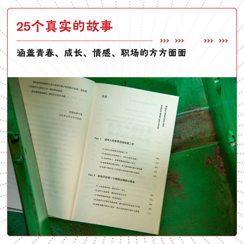 成年人的世界没有容易二字（百万畅销书作家老杨的猫头鹰新作，专治焦虑、拧巴、精神不振等疑难杂症）详情图