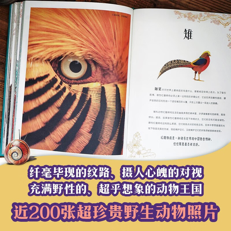 DK典藏博物馆（2023年精美书匣版）【赠杯垫】（全5册）【5岁+】DK奇妙动物大百科+DK神秘大自然奇观+DK远古生物大发现+DK浩瀚宇宙大奥秘+DK探秘缤纷水世界详情图