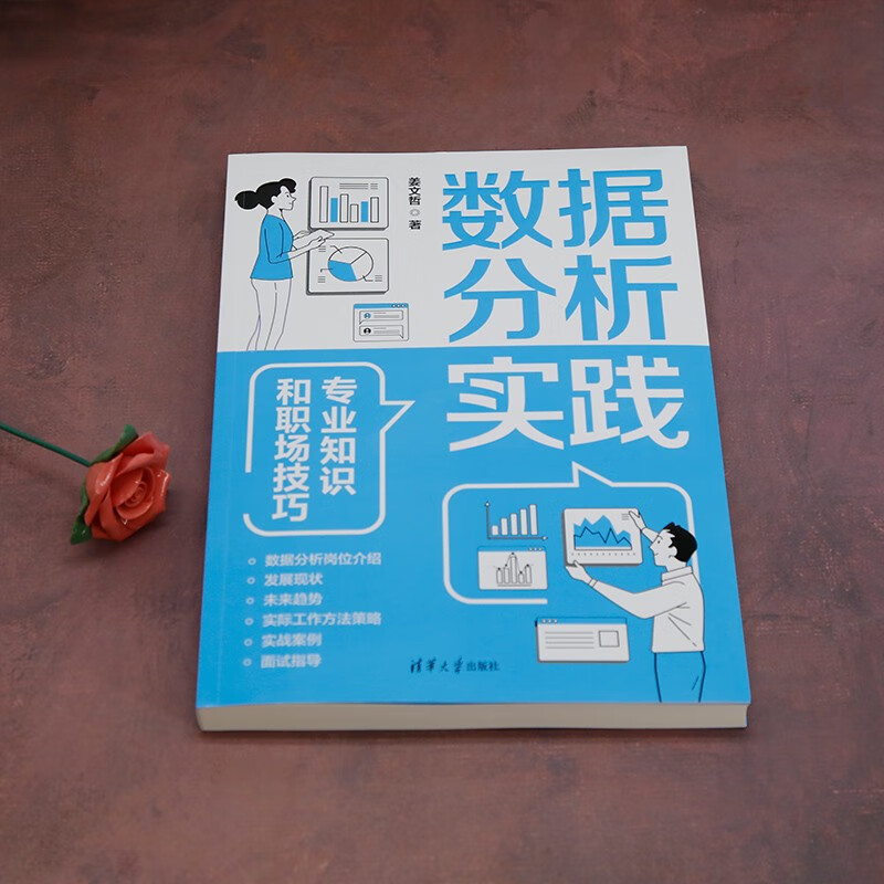 数据分析实践：专业知识和职场技巧详情图
