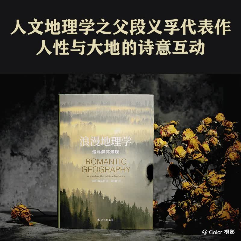 浪漫地理学：追寻崇高景观（人文地理学之父段义孚经典著作）详情图