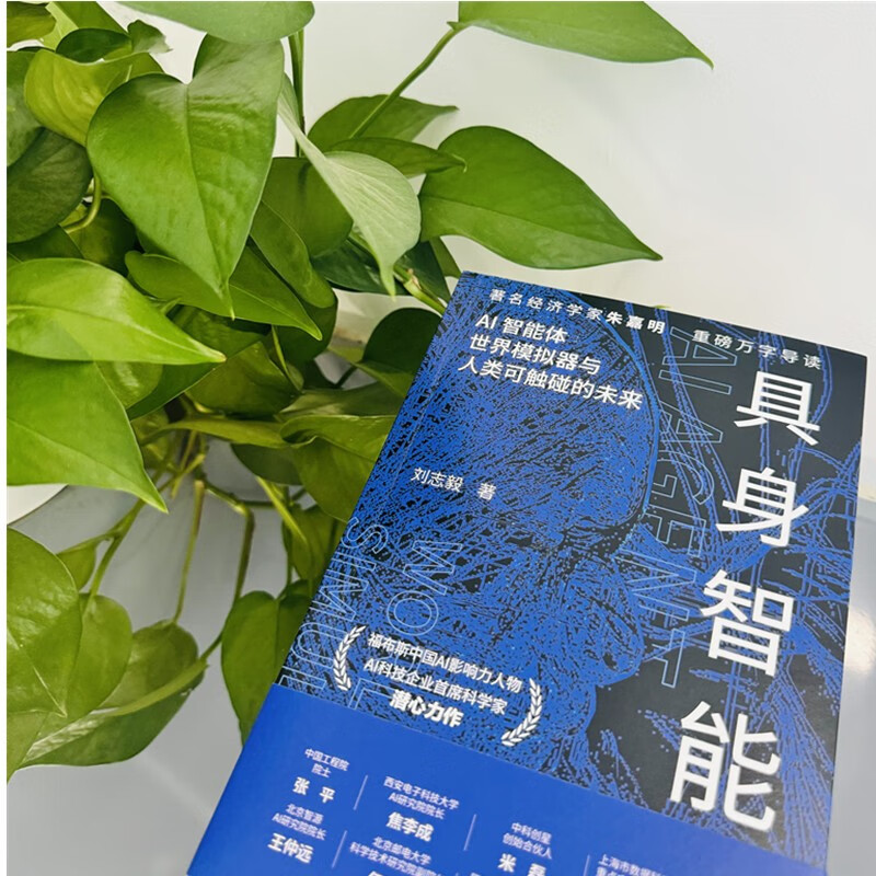 具身智能 揭秘下一代人工智能发展方向 人形机器人、DeepSeek、世界模型，大模型，AI agent，宇树，杭州六小龙详情图