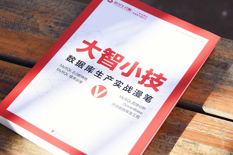 大智小技V：数据库生产实战漫笔详情图