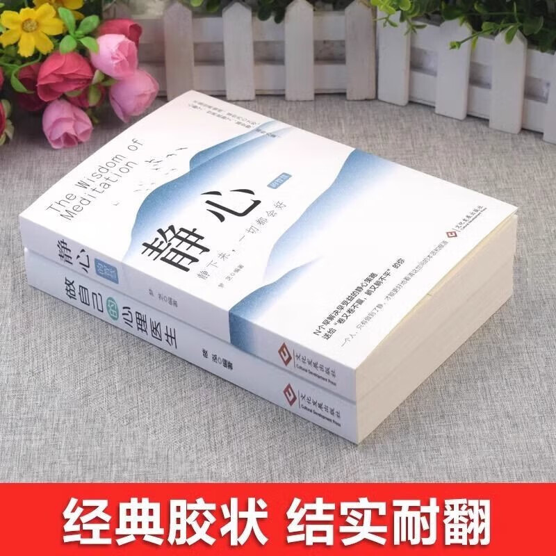 静心+ 情绪控制+做自己的心理医生 摆脱焦虑抑郁情绪释怀放下调整心态自我疗愈书籍详情图