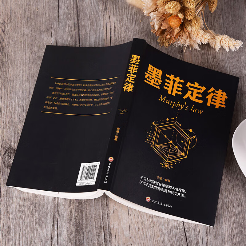 墨菲定律 心理学启示录成功学秘密思考致富职场生存竞争法则人际关系行为准则当下的力量 墨菲定律详情图
