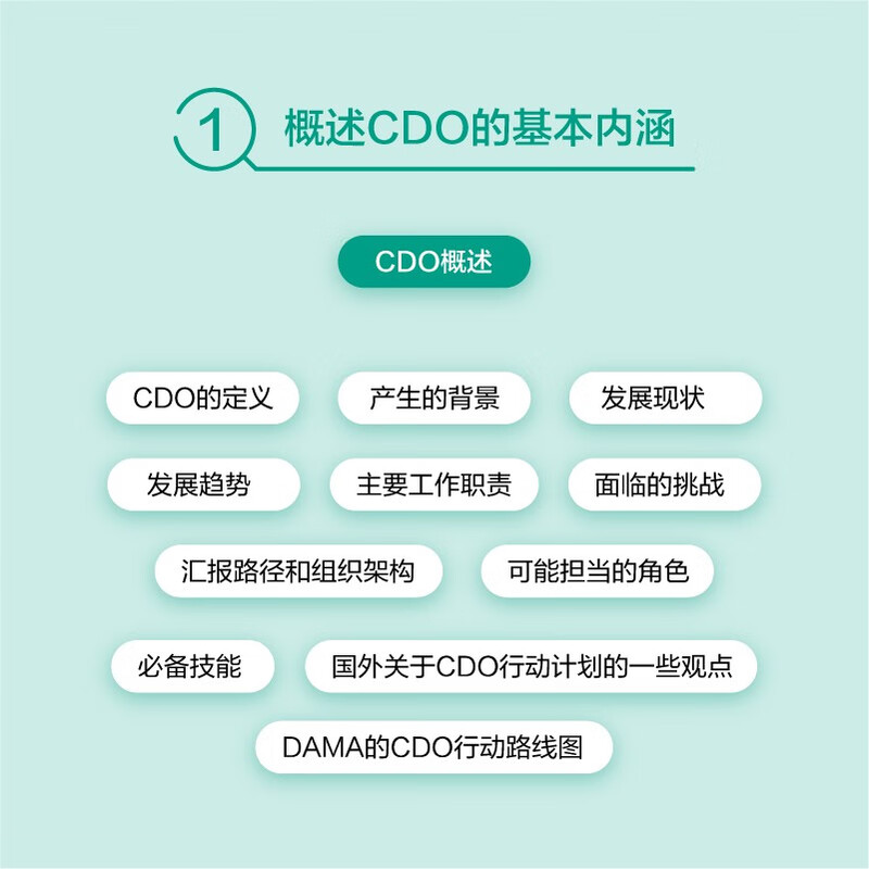 首席数据官知识体系指南（异步图书出品）详情图