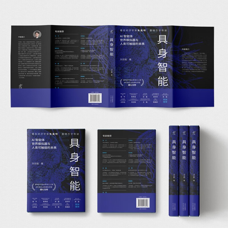 具身智能 揭秘下一代人工智能发展方向 人形机器人、DeepSeek、世界模型，大模型，AI agent，宇树，杭州六小龙详情图