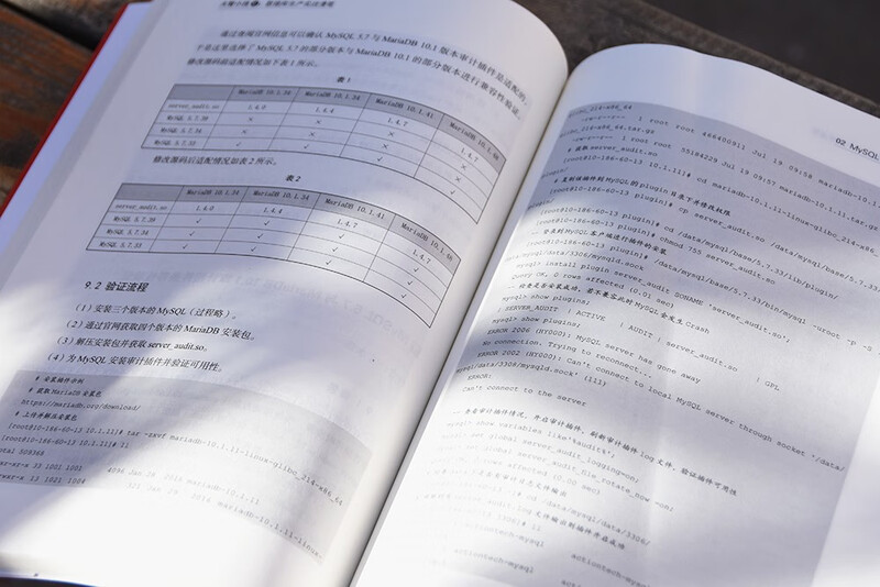 大智小技V：数据库生产实战漫笔详情图