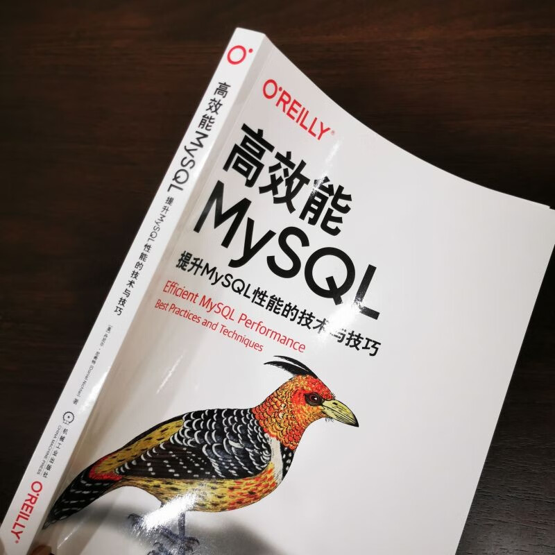 高效能MySQL：提升MySQL性能的技术与技巧详情图