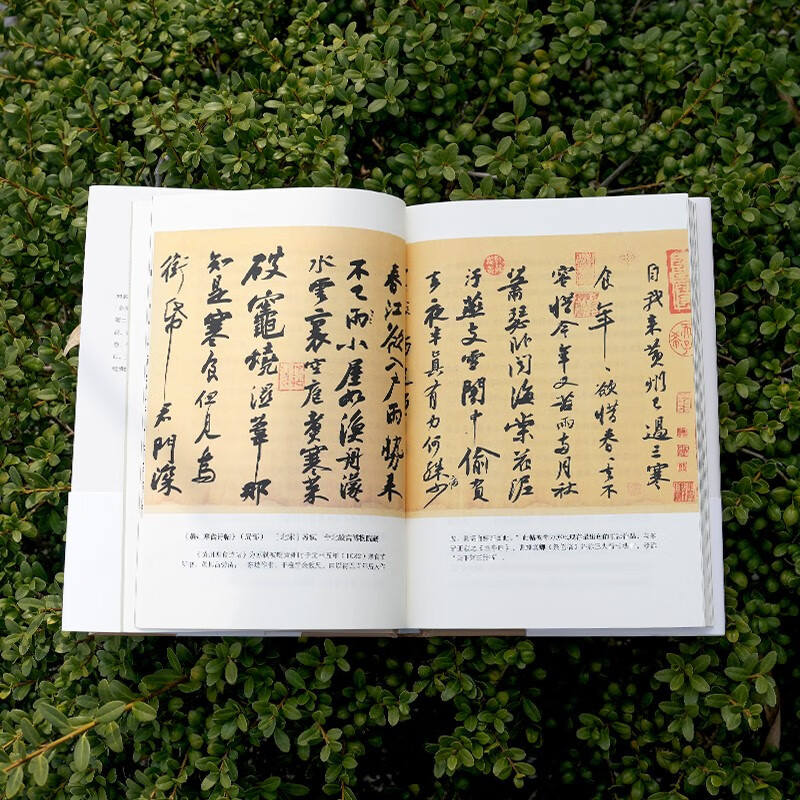 成为苏东坡  “台湾畅销书天后”吴淡如全新作品，一部温暖治愈的东坡心灵传！