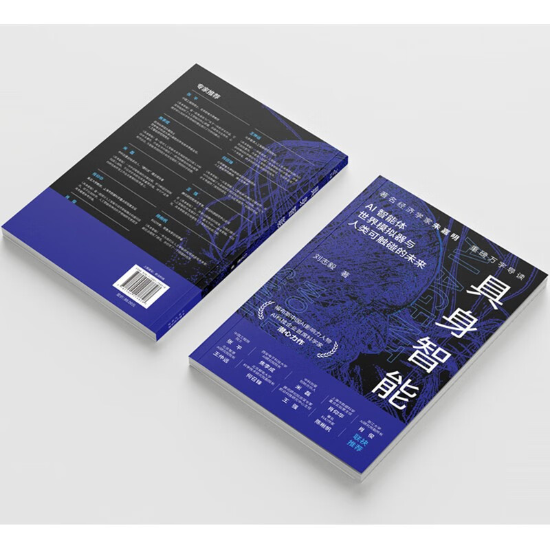 具身智能 揭秘下一代人工智能发展方向 人形机器人、DeepSeek、世界模型，大模型，AI agent，宇树，杭州六小龙详情图