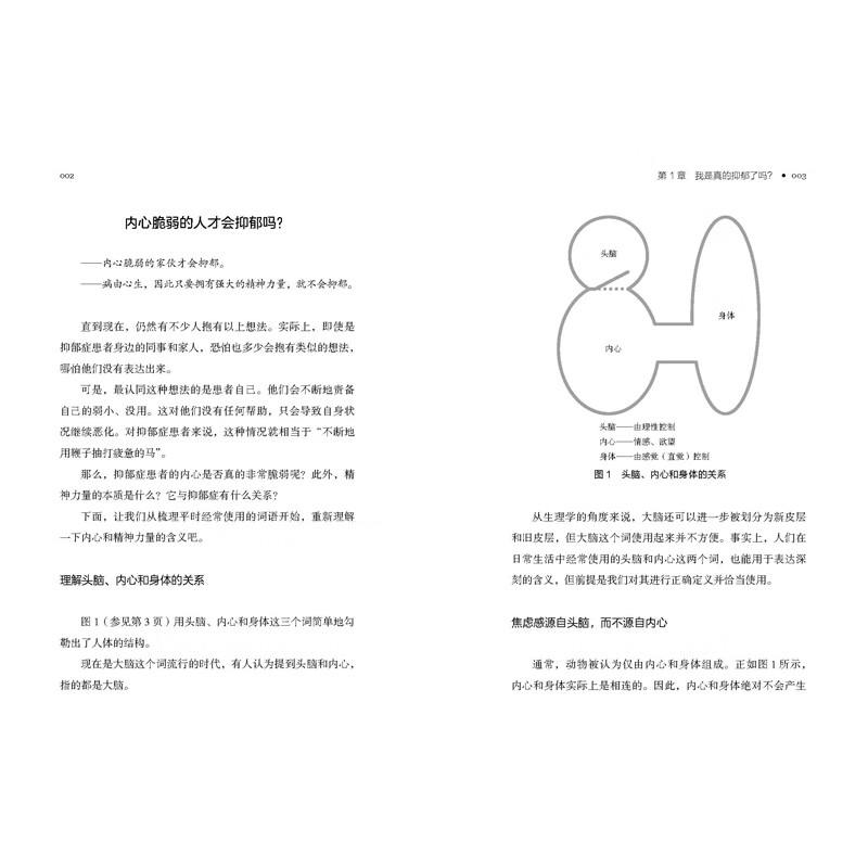 抑郁的力量  心理自助指南 心理健康 抗抑郁策略 北京科学技术