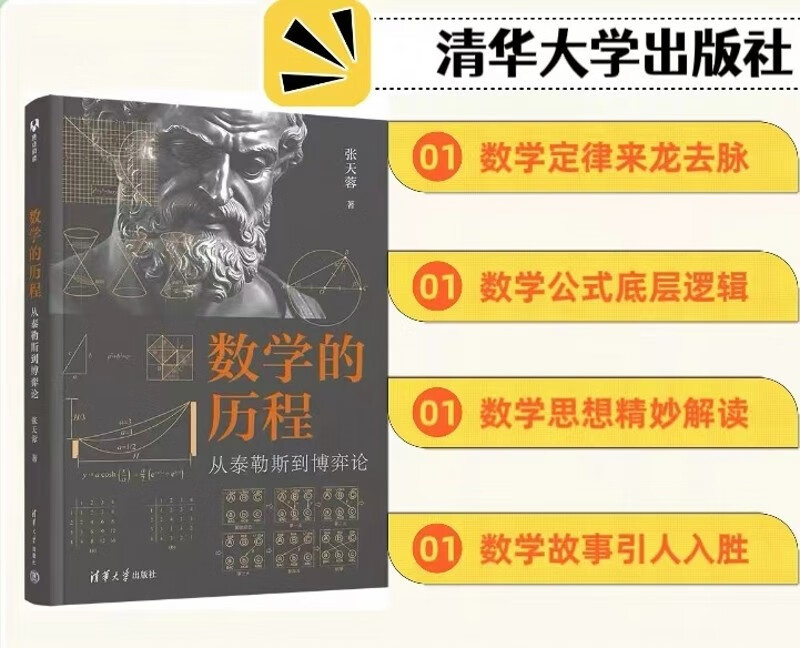 数学的历程：从泰勒斯到博弈论详情图