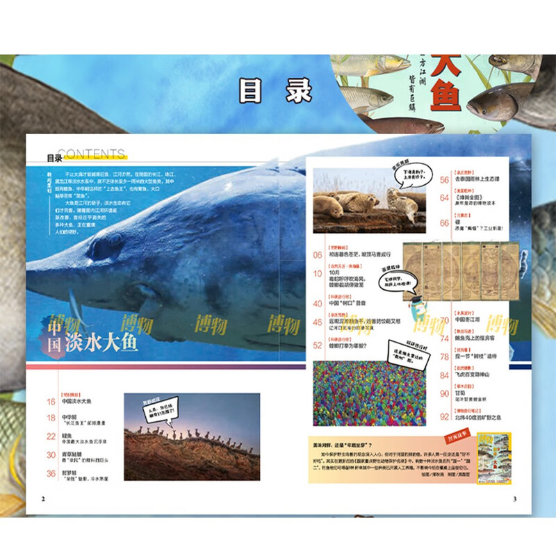 博物 2025年10月号 中国国家地理青春少年版 博物君探索自然奥秘