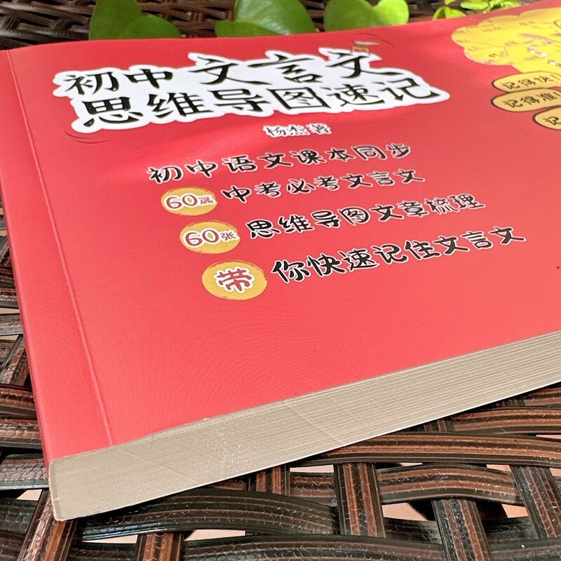 初中文言文思维导图速记 语文 重点注释译文赏析 杨杰 快速阅读 初中通用彩图版详情图