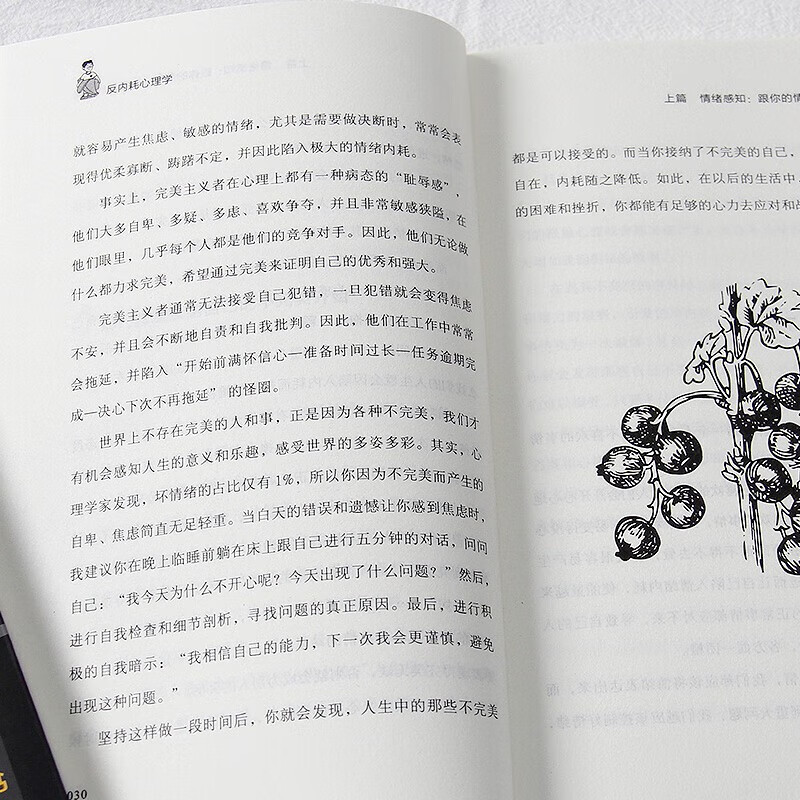 心理学入门书籍:反内耗心理学+社交恐惧心理学详情图