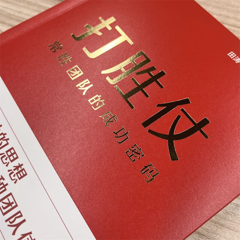 打胜仗:常胜团队的成功密码 平装版