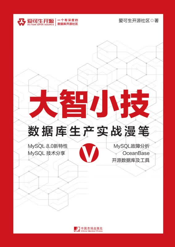 大智小技V：数据库生产实战漫笔详情图