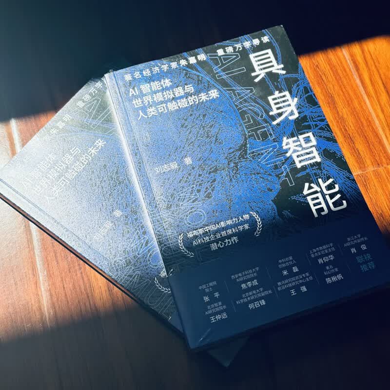 具身智能 揭秘下一代人工智能发展方向 人形机器人、DeepSeek、世界模型，大模型，AI agent，宇树，杭州六小龙详情图