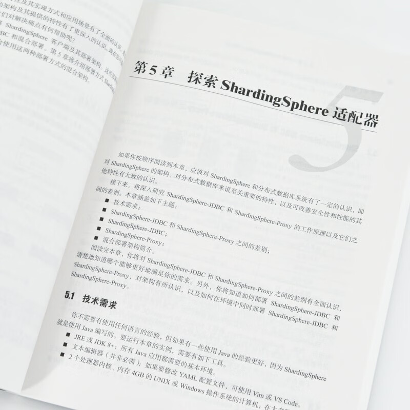 Apache ShardingSphere权威指南（异步图书出品）详情图