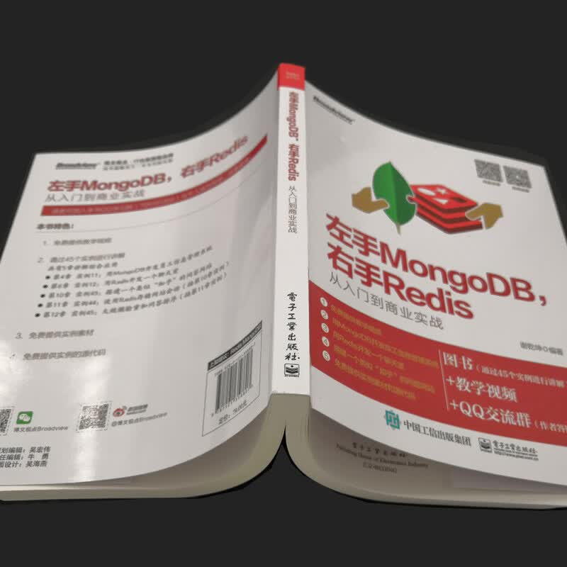 左手MongoDB，右手Redis――从入门到商业实战(博文视点出品)详情图