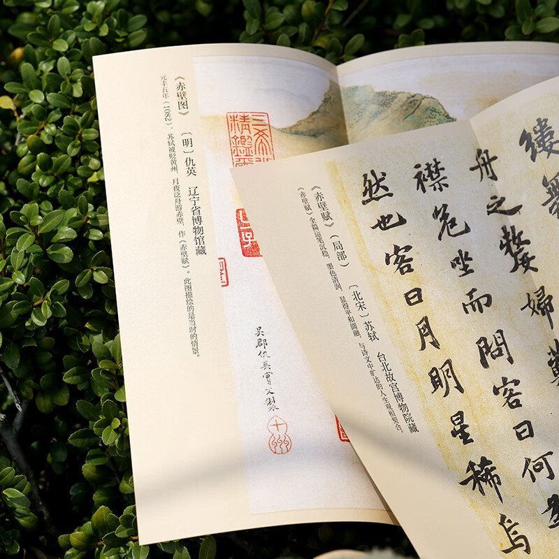 成为苏东坡  “台湾畅销书天后”吴淡如全新作品，一部温暖治愈的东坡心灵传！