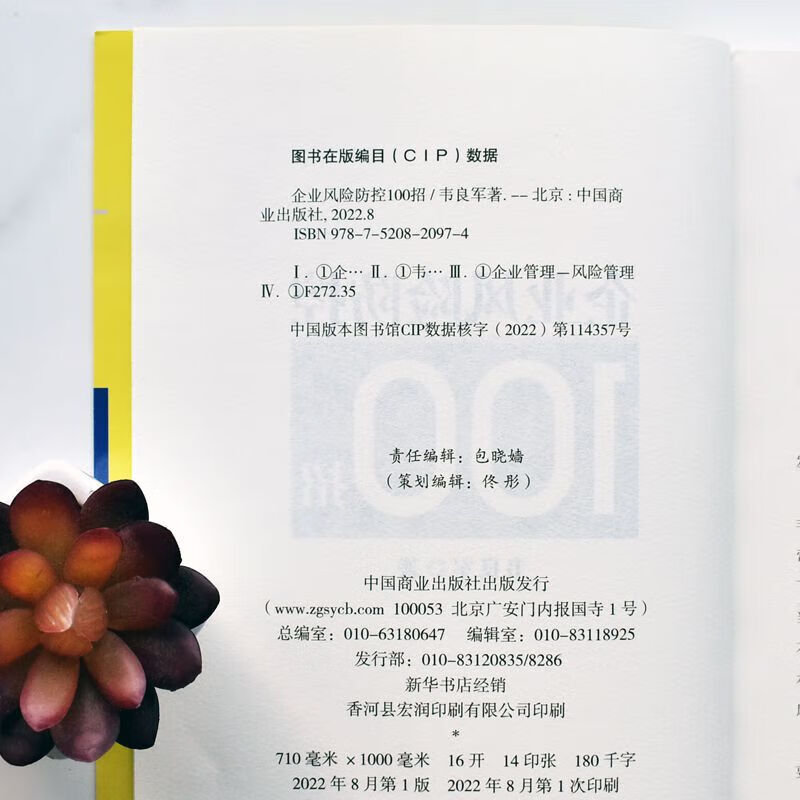 企业风险防控100招 中国商业出版社9787520820974 经管励志策略管理 官方旗舰店正版 企业风险防控100招详情图