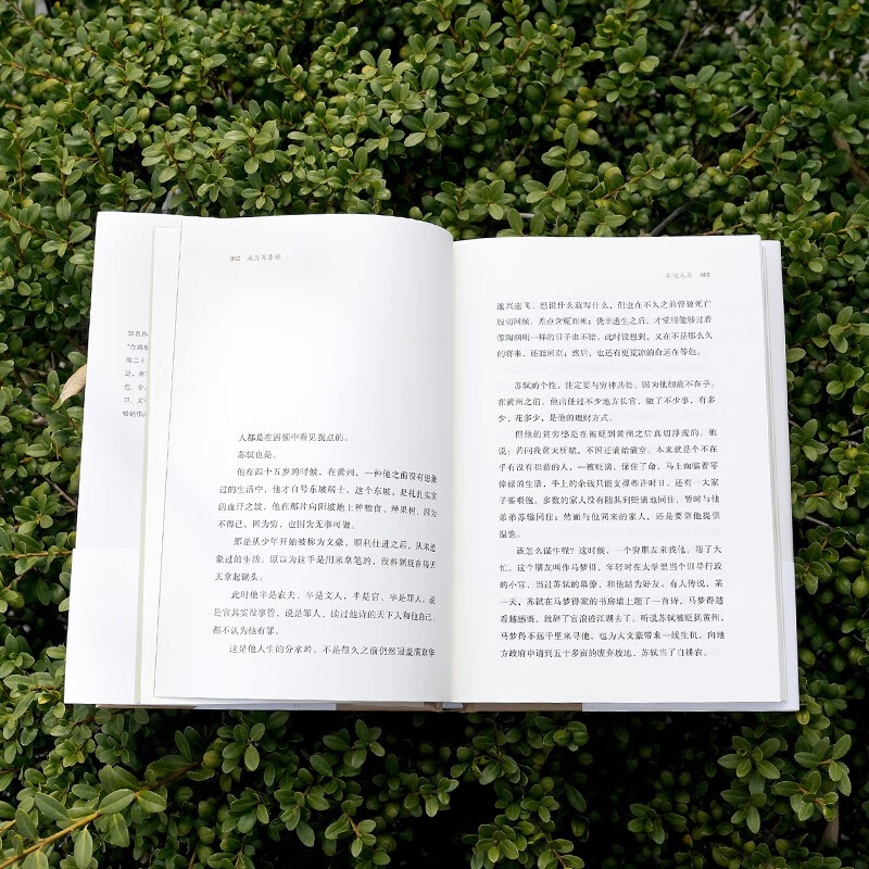 成为苏东坡  “台湾畅销书天后”吴淡如全新作品，一部温暖治愈的东坡心灵传！