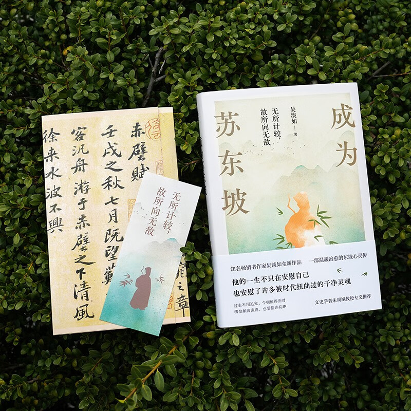 成为苏东坡  “台湾畅销书天后”吴淡如全新作品，一部温暖治愈的东坡心灵传！