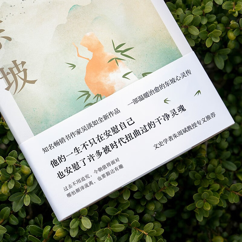 成为苏东坡  “台湾畅销书天后”吴淡如全新作品，一部温暖治愈的东坡心灵传！