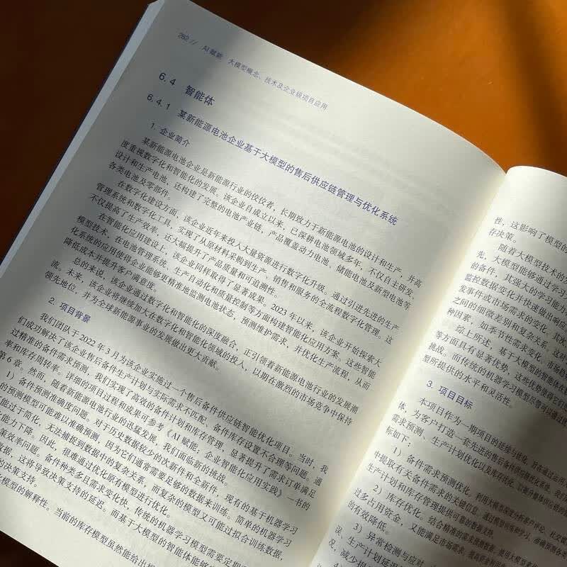 AI赋能：大模型概念、技术及企业级项目应用 deepseek教程详情图