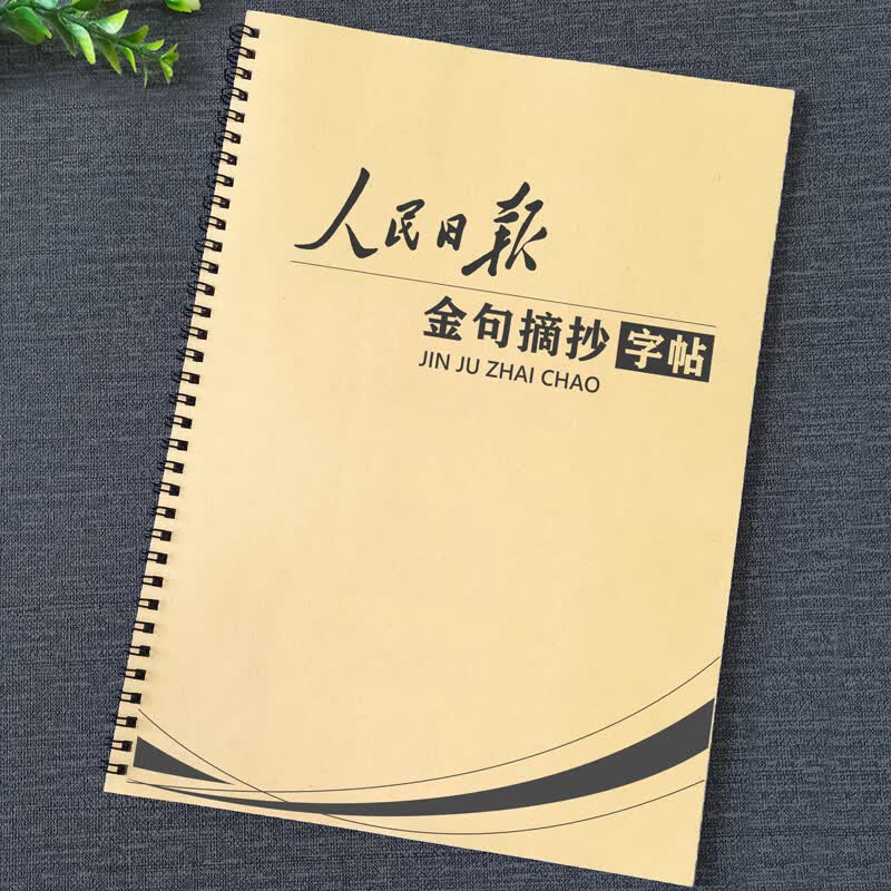 作文格书写快写训练方格卷面练习人民日报大报金句美文摘抄练字帖 作文格金句字帖详情图