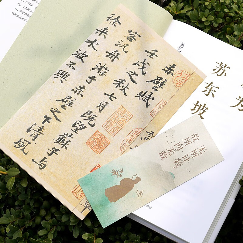 成为苏东坡  “台湾畅销书天后”吴淡如全新作品，一部温暖治愈的东坡心灵传！