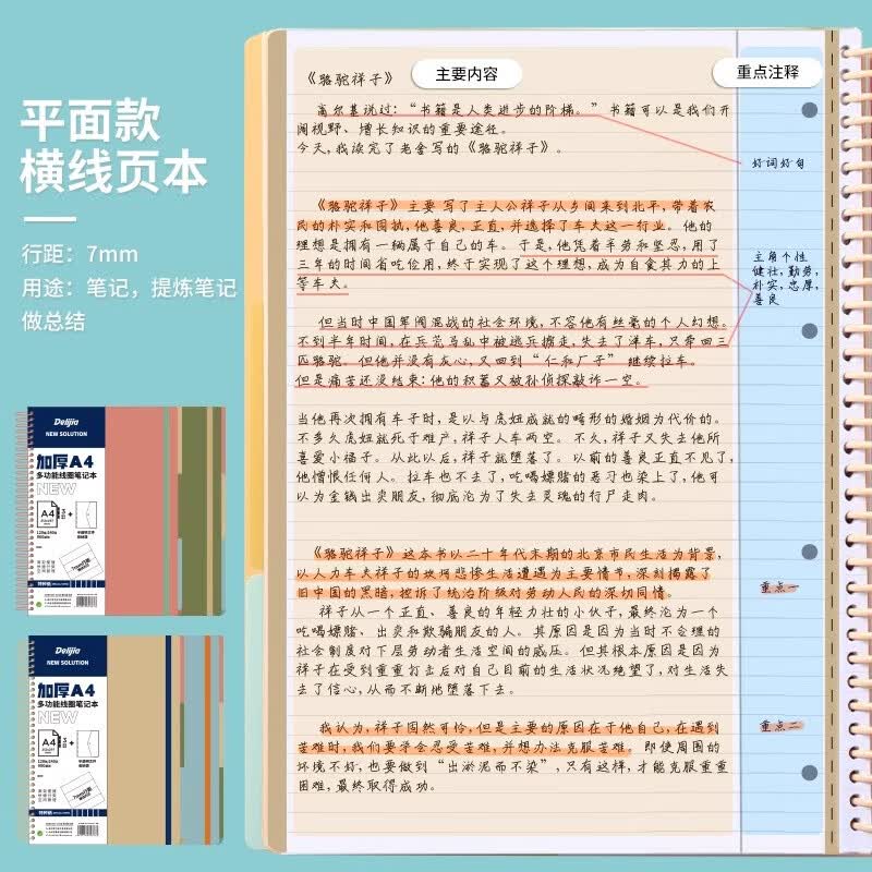 Delijia得力佳PP软线圈本a4美式大线圈笔记本记事本子四孔活页本内芯横线方格多功能大学生可撕加厚颜值思维导图 【A4大线圈本/带文件夹】米白【方...详情图