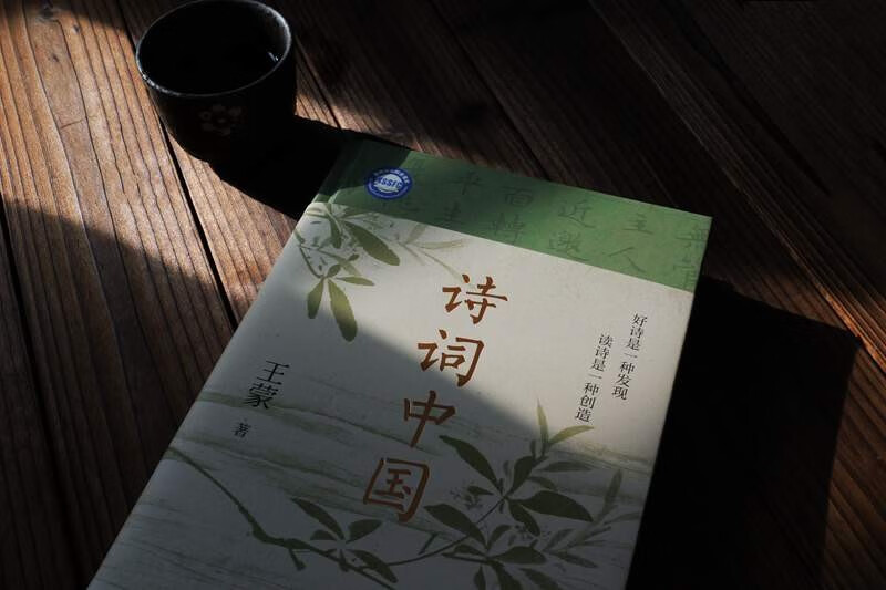 赠全彩拉页藏书票 诗词中国 王蒙 著名作家 原文化部部长 人民艺术家 古典诗词大师课 古诗词畅销书正版 诗词鉴赏宝藏读本详情图