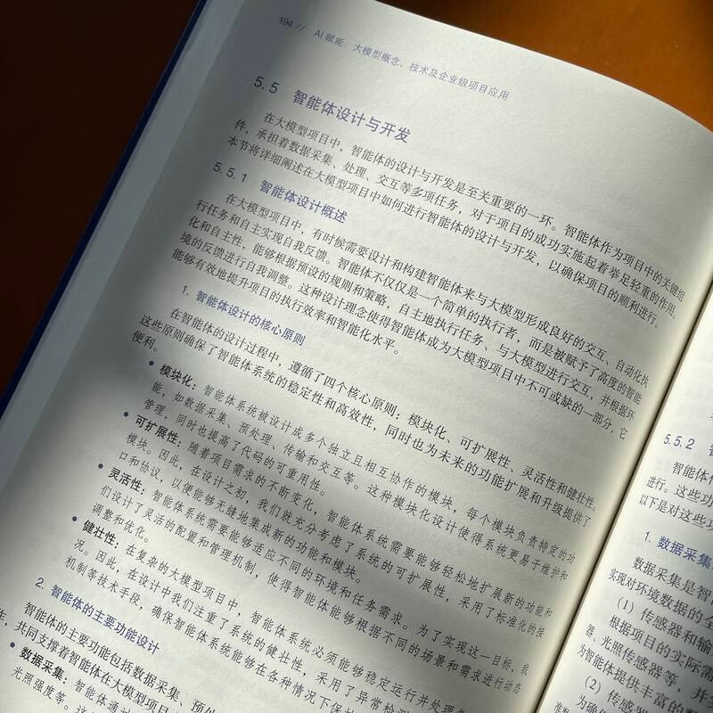 AI赋能：大模型概念、技术及企业级项目应用 deepseek教程详情图