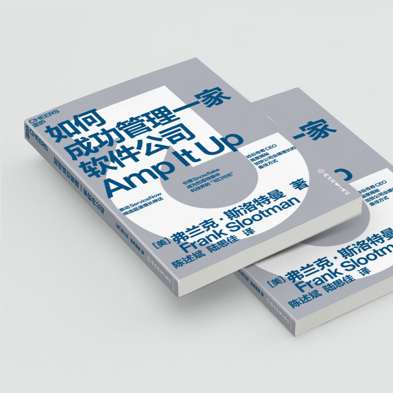 如何成功管理一家软件公司